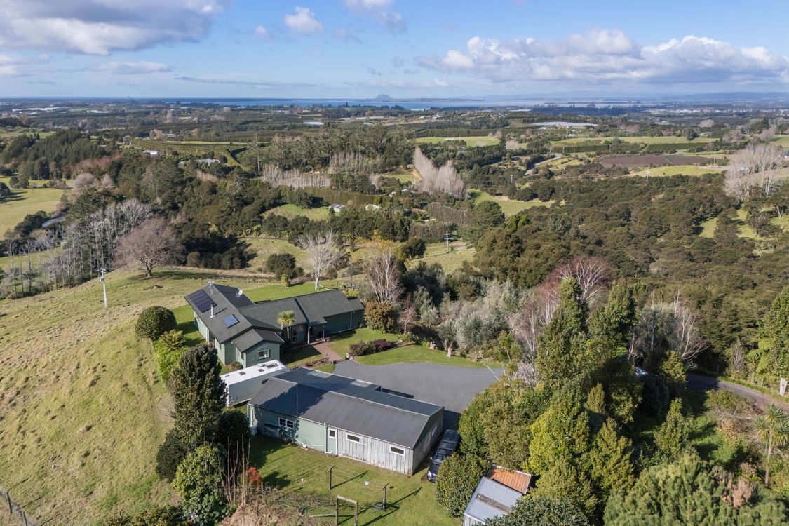 Image 1 - Property for sale - 313A Woodland Road, Katikati, NZ 3170