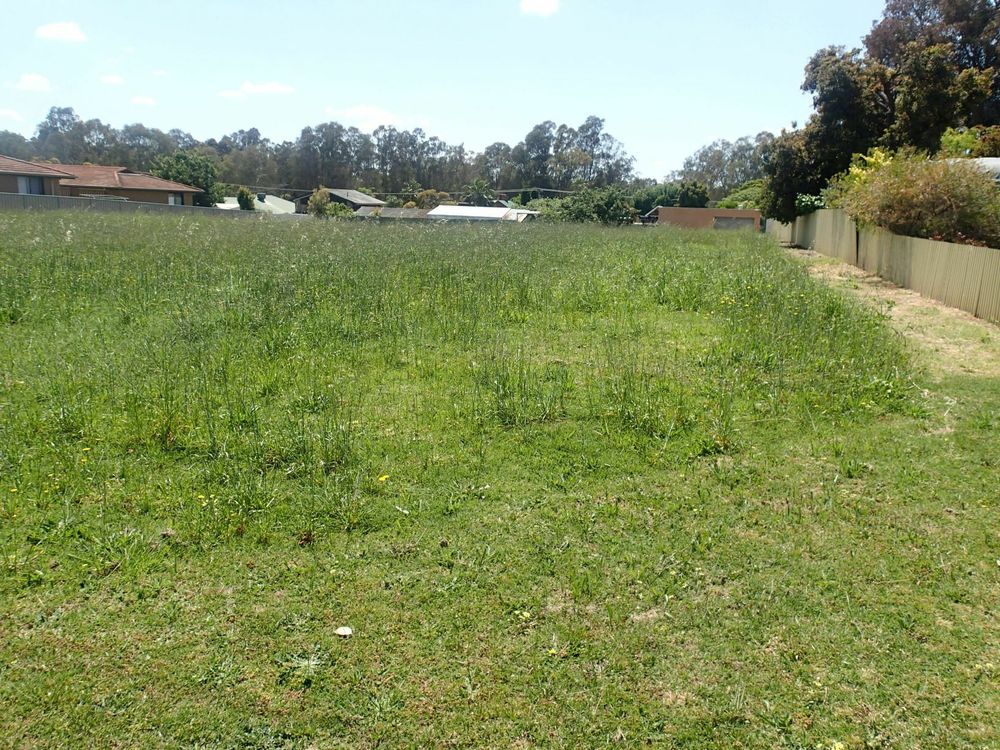 Image 1 - Property for sale - 184 Hume Street, COROWA, NSW 2646