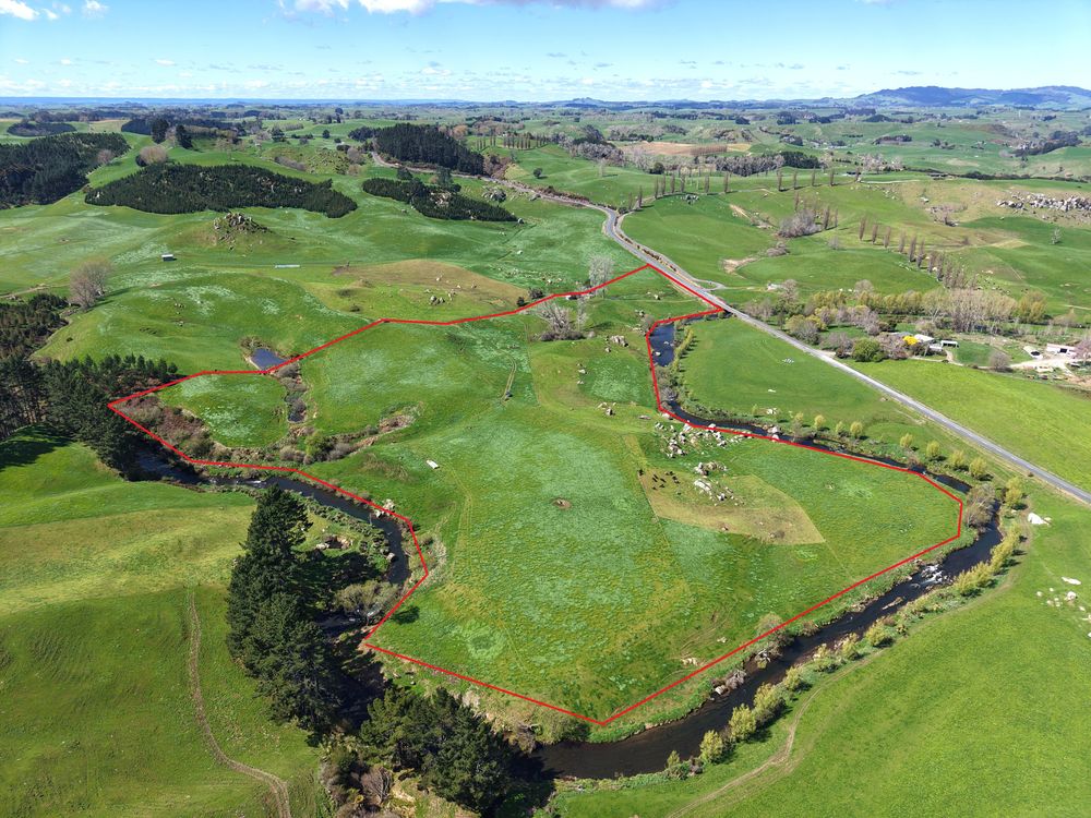 Image 1 - Property for sale - 258 Wharepapa South Road, Te Awamutu, NZ 3874