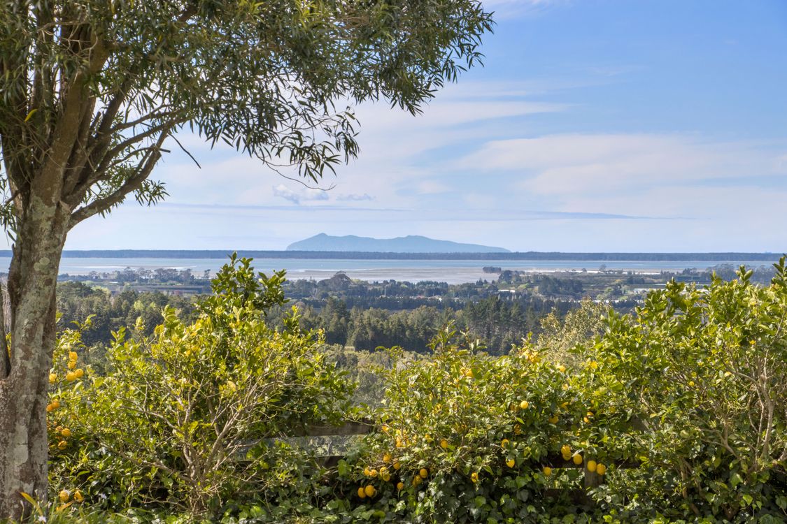 Image 1 - Property for sale - 66 Hume Road, Katikati, NZ 3129